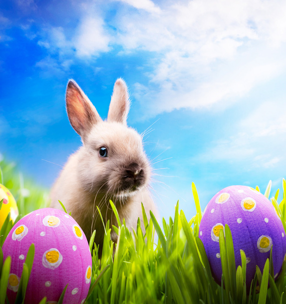 küçük Paskalya tavşanı ve Paskalya yumurtaları yeşil çimenlerin üzerinde - Fotoğraf, Görsel