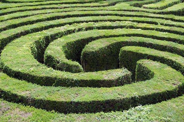 Labyrinth aus einer Hecke - Foto, Bild