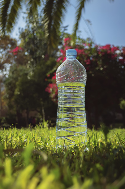 пляшка води на траві
 - Фото, зображення