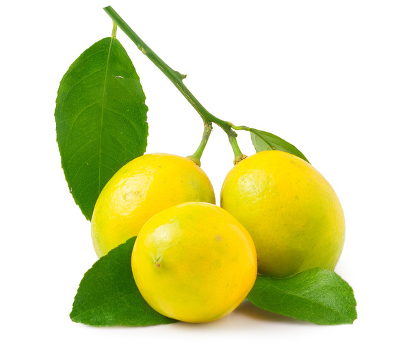 Три лимона на белом фоне изолированы
 - Фото, изображение