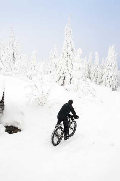 Motociclista in inverno, Orlicke Mountains, Repubblica Ceca
 - Foto, immagini