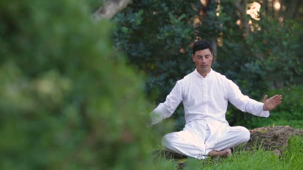 Joven latino sentado en el parque y meditando
 - Metraje, vídeo