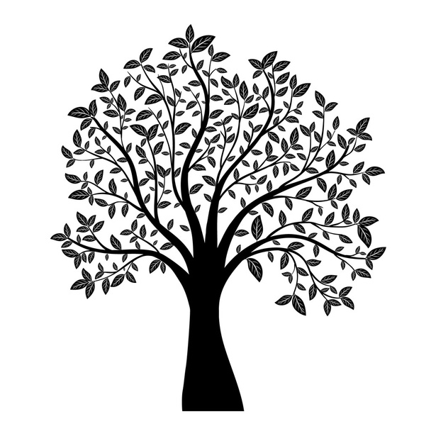 árvore silhueta vetor
 - Vetor, Imagem
