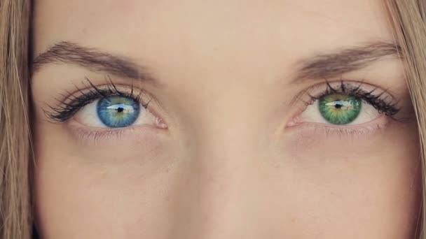 青と緑の目の虹彩異色症と女性 - 映像、動画