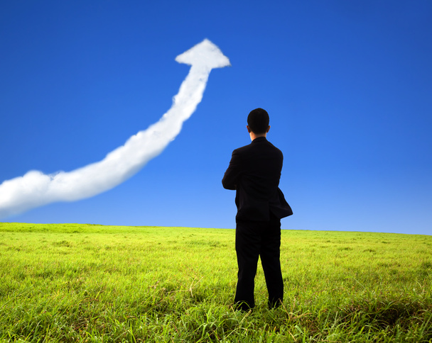 Business man stand on the field and watch growth graph cloud - Photo, Image