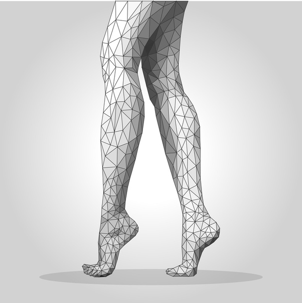 polygonal female legs standing on tiptoes monochrome mesh - Вектор, зображення