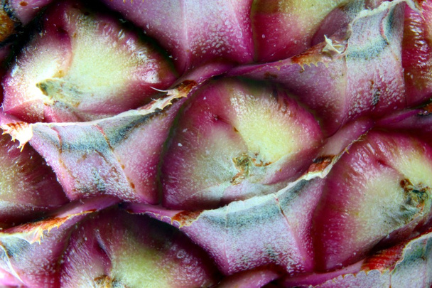 ananas kabuğu - Fotoğraf, Görsel