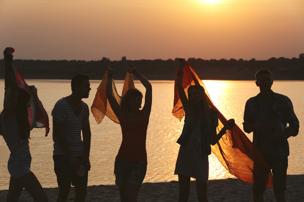 Радісні друзі розважаються на березі під час заходу сонця на відкритому повітрі
 - Фото, зображення