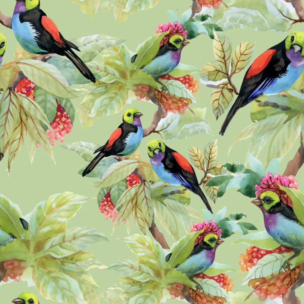 exotic birds background - Фото, изображение