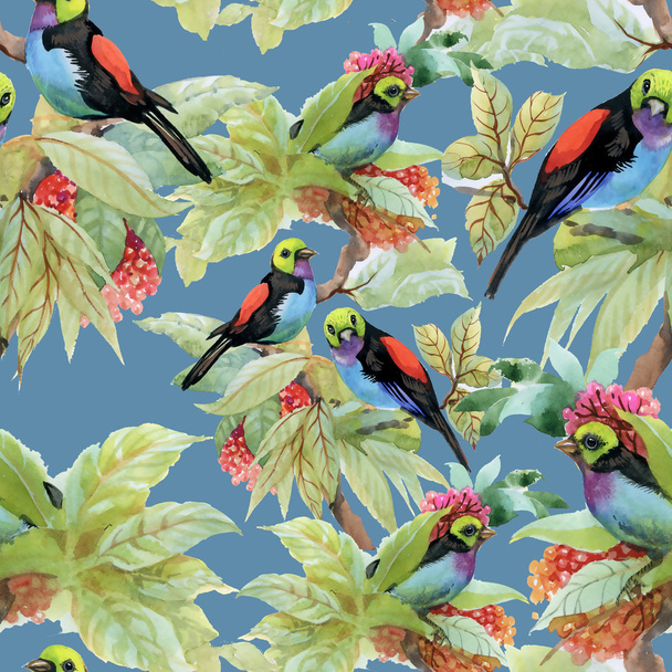 exotic birds background - Foto, imagen