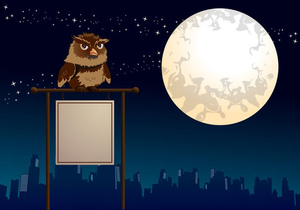 Night owl prázdný znak - Fotografie, Obrázek