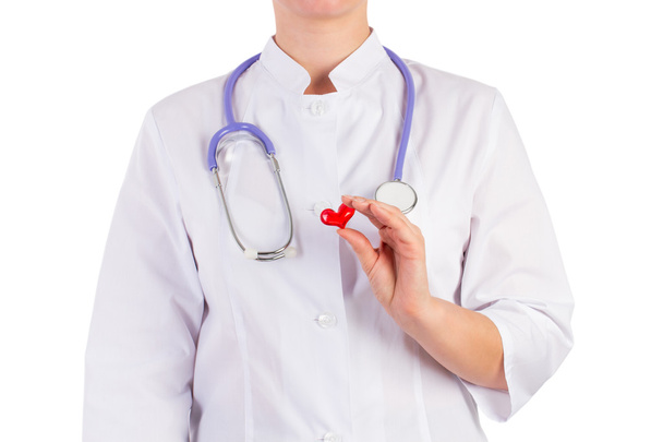 dokter houden een hart toy, witte achtergrond - Foto, afbeelding