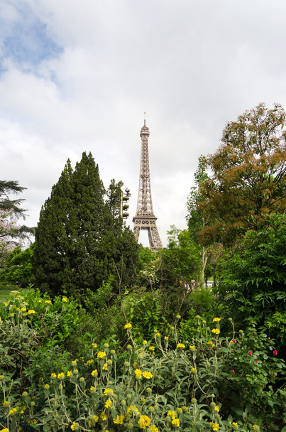 Eiffel-torony és a virágzó fák Párizsban - Fotó, kép