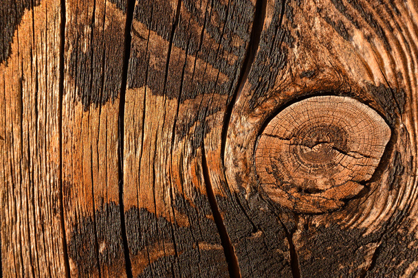 Textura de fondo de madera - Foto, imagen