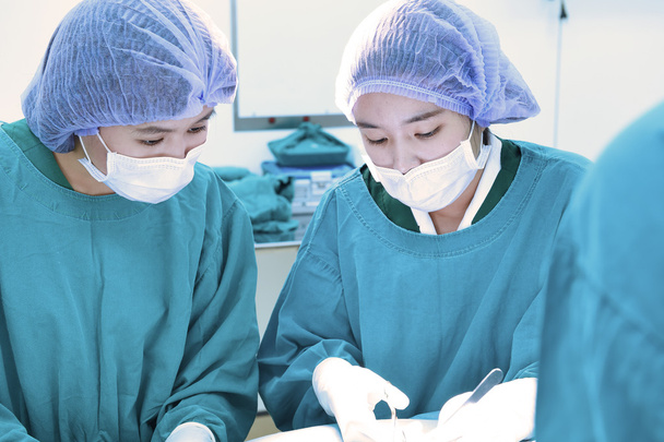 dois cirurgiões veterinários na sala de operações - Foto, Imagem