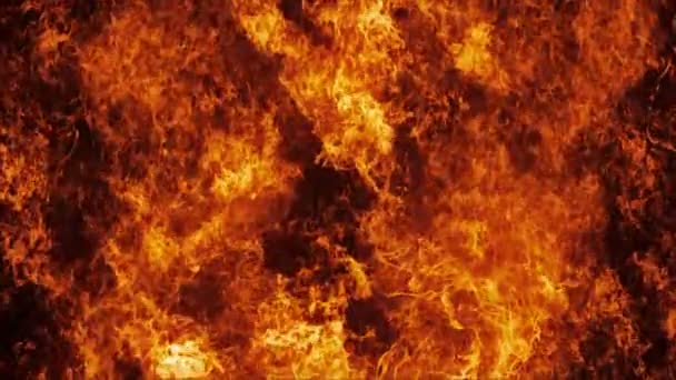 Inferno ściany ognia w zwolnionym tempie - Materiał filmowy, wideo