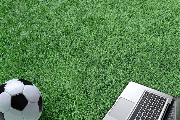ноутбук на зеленій траві
 - Фото, зображення