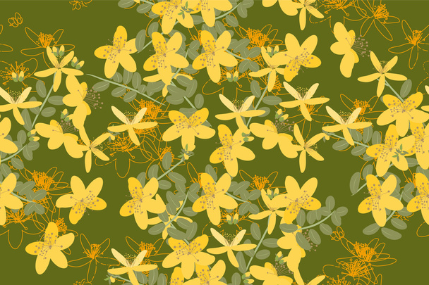 Floral St.John's Wort vintage background - Vector, Image