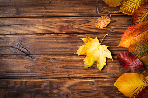 Collection of autumn leaves on wooden background - Foto, afbeelding
