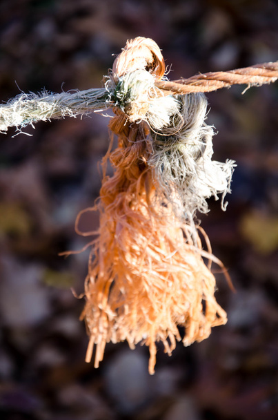 přeskakování lana šňůry - Fotografie, Obrázek