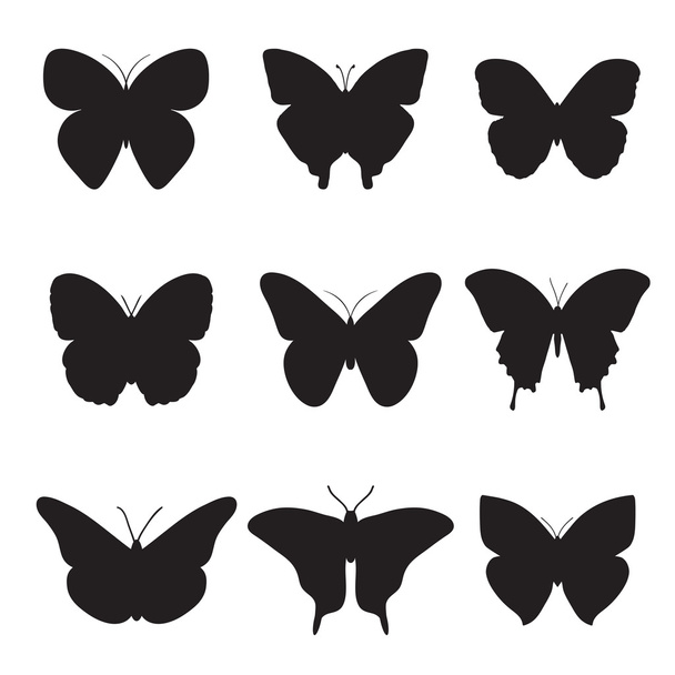 Black butterflies on white background. - Vecteur, image