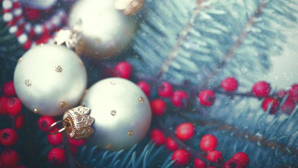 holiday decorations and red berries - Photo, Image