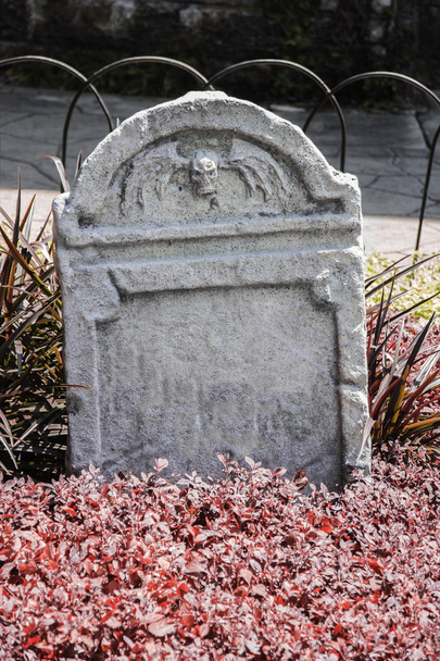 Tombstone and graves in an ancient church graveyard - Photo, Image