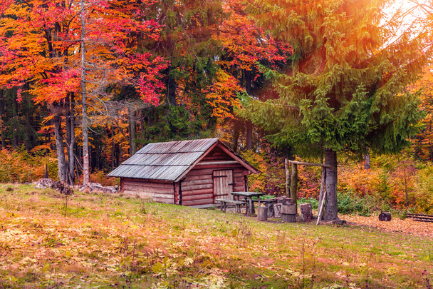 Cabana do Forester na floresta de outono - Foto, Imagem