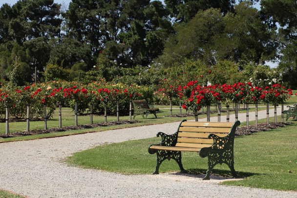 ławce siedzi w ogrodzie kwiatowym - Zdjęcie, obraz