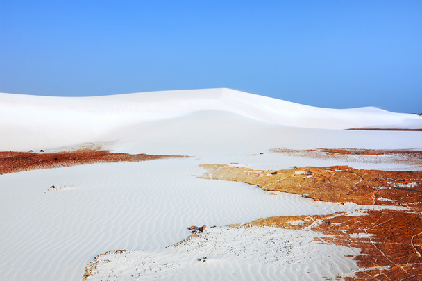  White sand dunes, Socotra  - Fotoğraf, Görsel