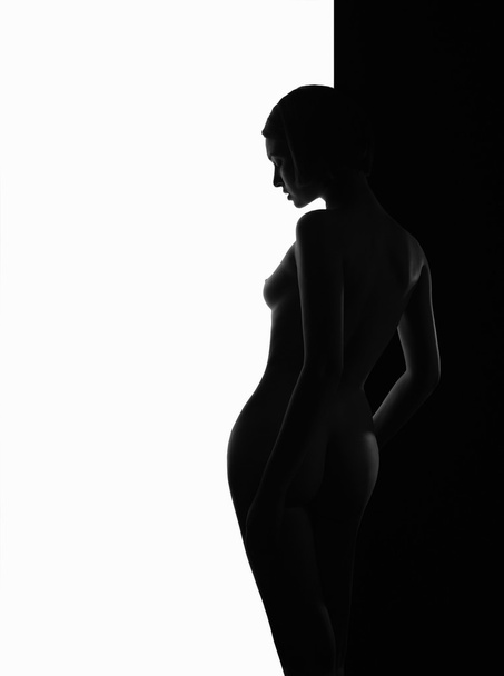 sexy naked woman - Photo, Image