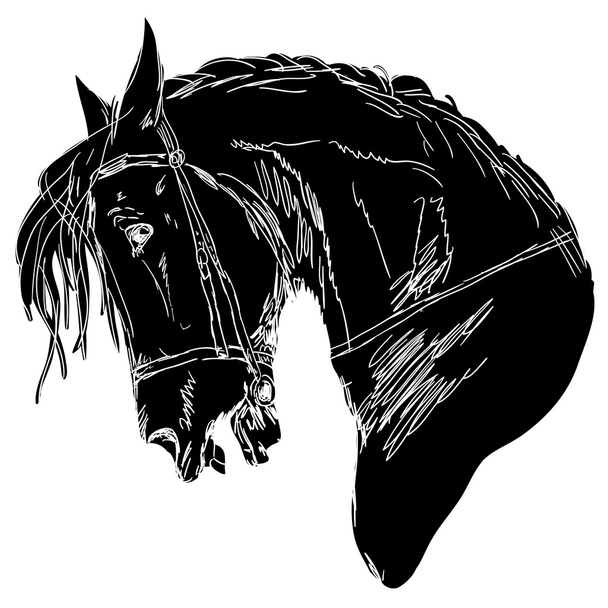 Μαύρο άλογο - Φωτογραφία, εικόνα