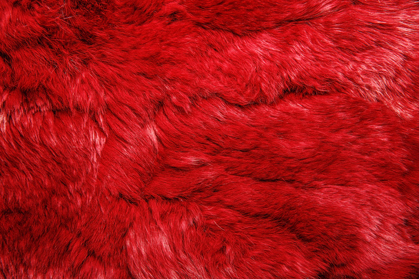 Close-up de lapin colorido pele para fundo textura
 - Foto, Imagem