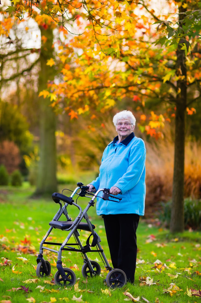 Vanhempi nainen kävelijän kanssa syksyllä puistossa
 - Valokuva, kuva