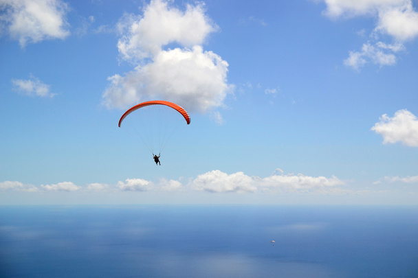 Paragliding with stunning views of the sea - Fotografie, Obrázek