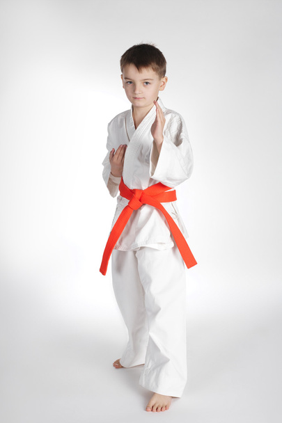 boy practice karate - Фото, изображение
