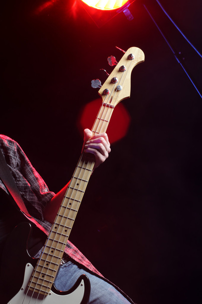 A bassist plays at a live concert - Foto, immagini