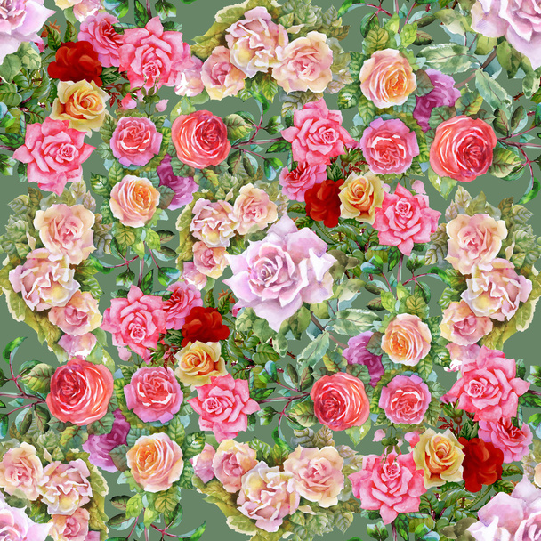 garden roses blooming flowers - Photo, Image