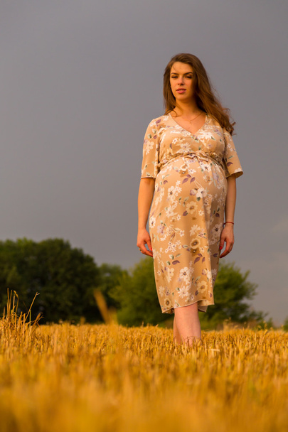 Donna incinta seduta in un campo di grano di grano appena tagliato
 - Foto, immagini