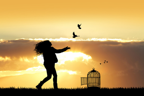 girl and birds at sunset - Фото, изображение