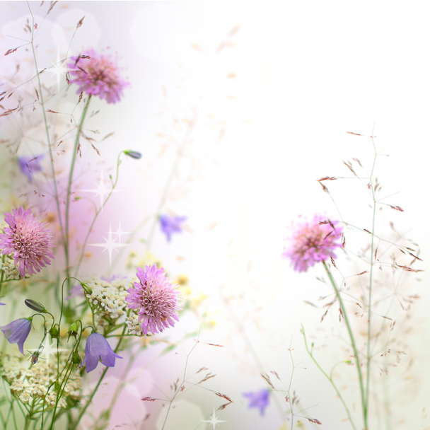 Belle bordure florale pastel beau fond flou (sha
 - Photo, image