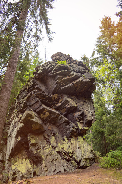 Камені у лісі
 - Фото, зображення