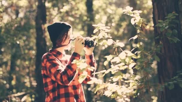 森の中の少女撮影写真 - 映像、動画