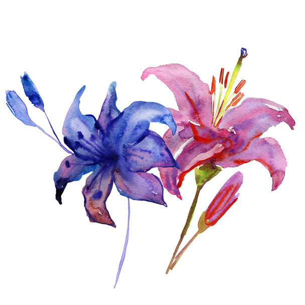 virágok-akvarell festmények - Fotó, kép