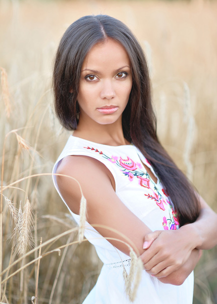 beautiful elegant brunette girl in a field - Foto, Imagen