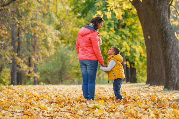 Menino adorável com sua mãe no parque de outono
 - Foto, Imagem