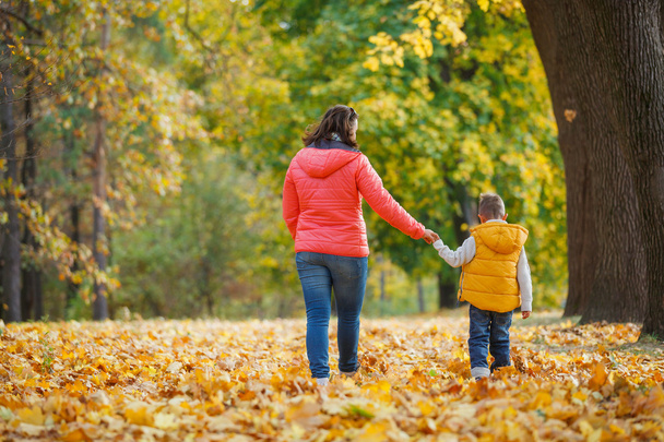 Suloinen poika äitinsä kanssa syksyllä puistossa
 - Valokuva, kuva