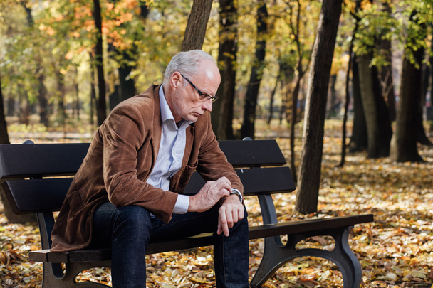 old elegant man sitting on bench outside - Фото, зображення