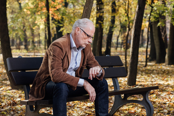 old elegant man sitting on bench outside - Photo, image