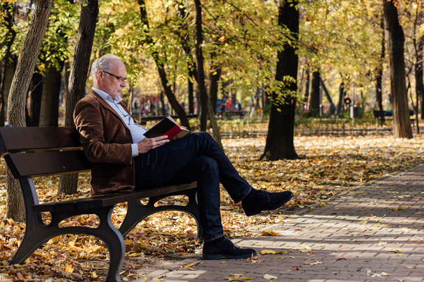 old elegant man reading a book outside - Valokuva, kuva